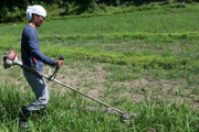 1009_fujikawa_3.jpg