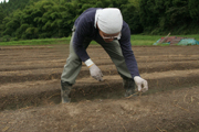1009_fujikawa_4.jpg