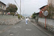 1105_hiraki_4.jpg