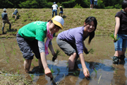 1212_nakagawa_5.jpg