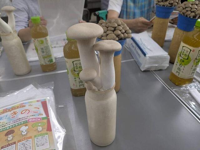 s-hokuto3.jpg