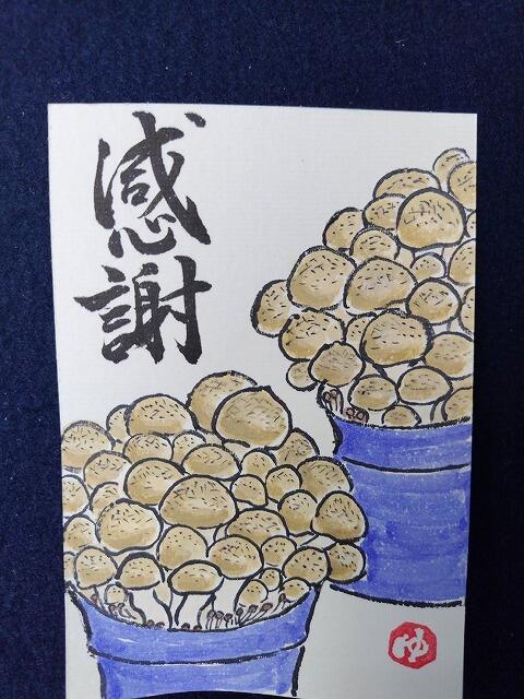 s-hokuto4.jpg