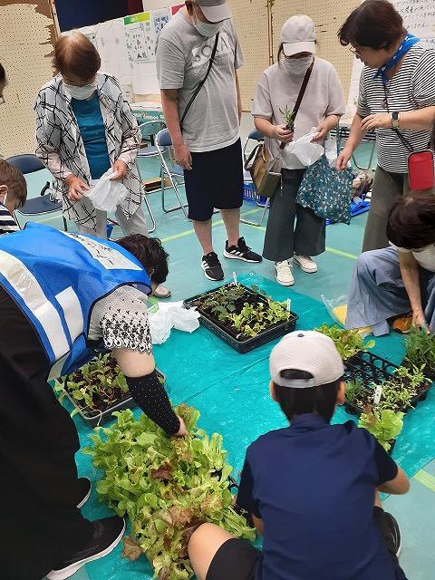 s-ecofes3.jpg