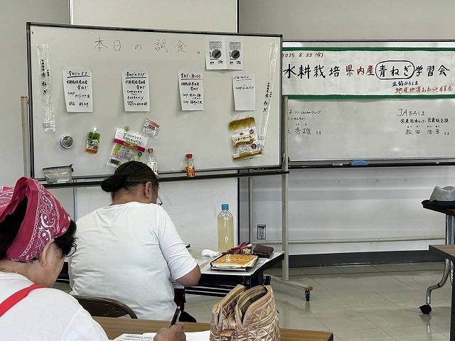 s-negi4.jpg
