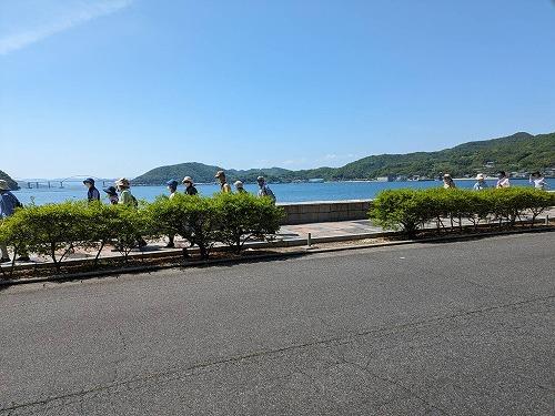 s-walk1.jpg