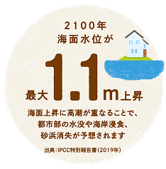 2100年海面水位が最大1.1m上昇 海面上昇に高潮が重なることで、都市部の水没や海岸浸食、砂浜消失が予想されます。
