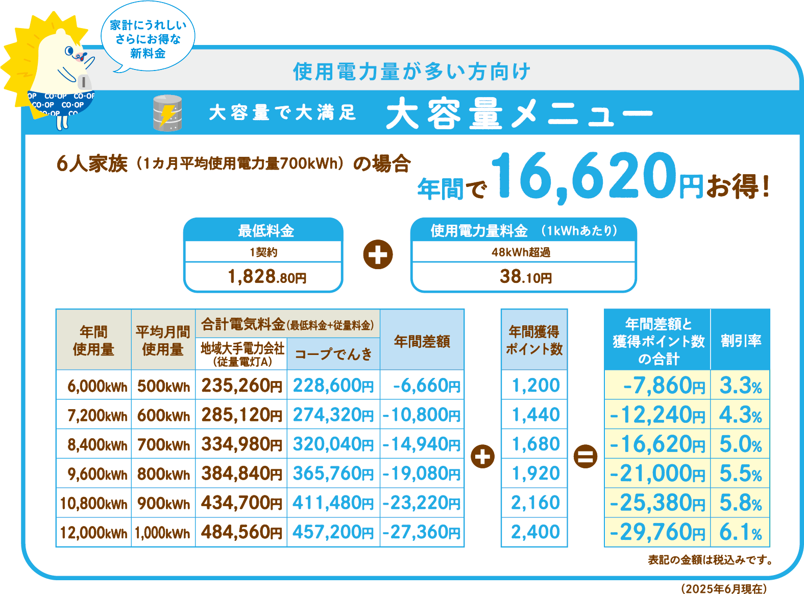 電気プラン・大容量メニュー